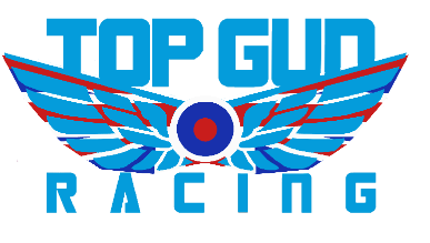 topgunflaggedlogo9